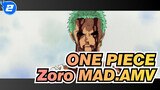 ONE PIECE|A man like you who gives up his life must be doing it for someone(Zoro)_2