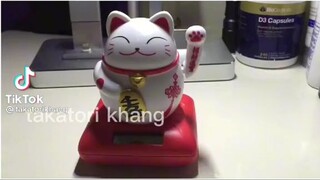 Việt Nam mời cả bò 🐄