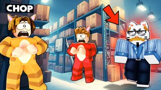 ROBLOX CHOP AND FROSTY PLAY CAT AND DOG HIDE AND SEEK