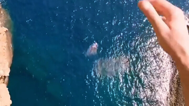 Thử thách sợ độ cao