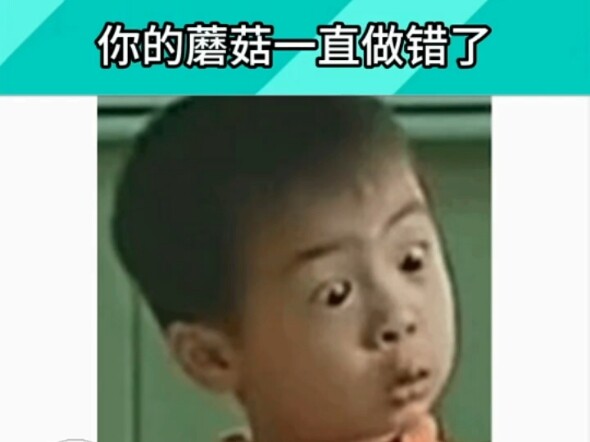 I finally figured out how to cook these little mushrooms! #mushrooms