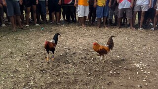 Fun run sa unang araw ng taong 2025 2-1.