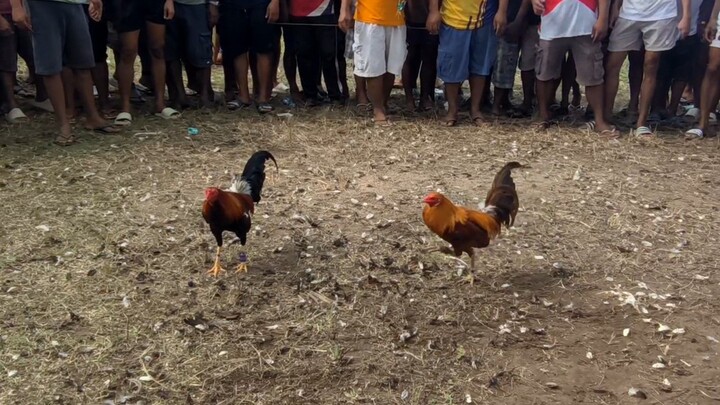 Fun run sa unang araw ng taong 2025 2-1.