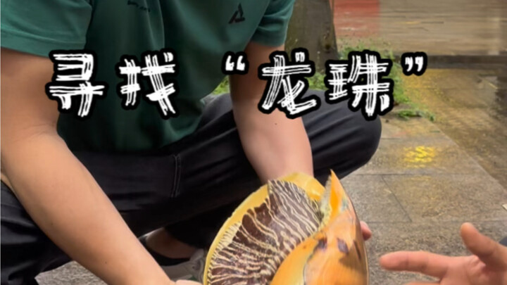 猜猜我能不能开到“龙珠”！