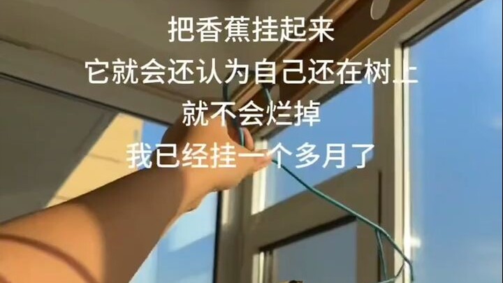 在B站职业技术学院天天都能学到新东西