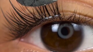 Trust me, beginners are better off sticking to the top one!!