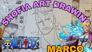 drawing anime one piece karakter Marco