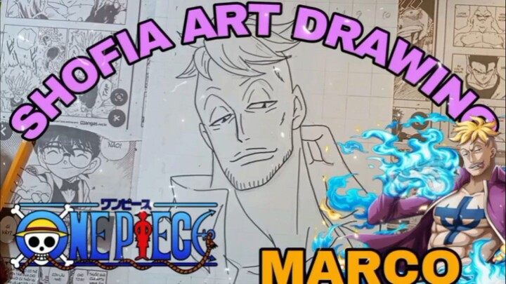 drawing anime one piece karakter Marco