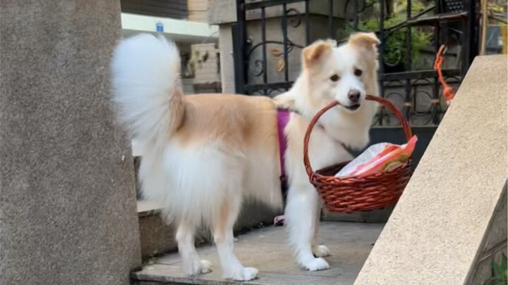 Mom wants to eat Liuzhou river snail rice noodles—got it!
