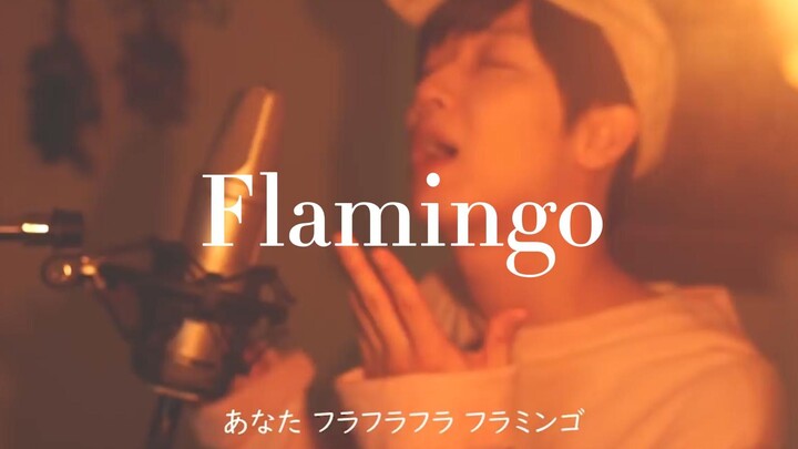 【少年T】如火烈鸟般美丽又危险/「Flamingo」-Acoustic ver.-