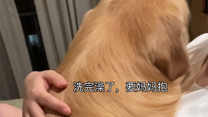 It seems to know that once it’s done with its bath, Mom will pick it up! Woof—such a big one! As soo