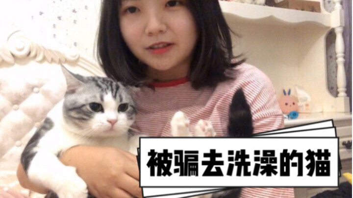 Kalau ditipu sampai dimandikan, apakah si kucing tuan akan menyimpan dendam?