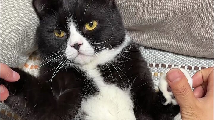 Such a seductive vibe for someone so young~ (pinch!)