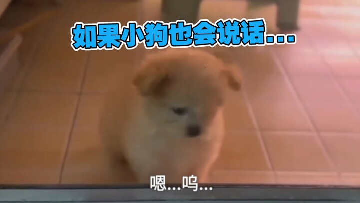 ฉันไม่อยากอยู่ที่นี่...