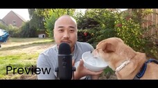 ASMR Eating Greek Style Yoghurt & Cheerios