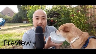ASMR Eating Greek Style Yoghurt & Cheerios