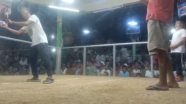 5 stag catanauan CSU GF