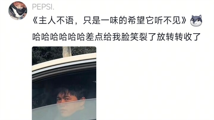 ขำตาย…ความกระตือรือร้นของเจ้าโกลเด้นรีทรีฟเวอร์ใครก็ห้ามไม่ไหว โกลเด้น: หลบหน่อย! เขาตามหาฉัน! ตามหา