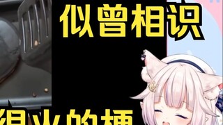 Meme phổ biến ở Nhật Bản hiện nay không phải giống hệt với bánh kếp than đen của Baicai thời đó sao?