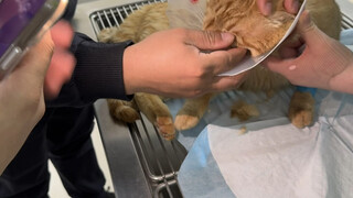 Thank you all for your continued care and kindness. Thank you to Dr. Zhu, Dr. Kui, and Dr. Song.