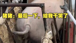 猪猪: 最后一下，给我干笑了