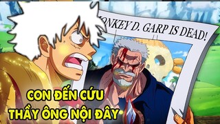 Phản Ứng Của Luffy Khi Biết Garp Bị Râu Đen Cho Đăng Xuất Khỏi One Piece