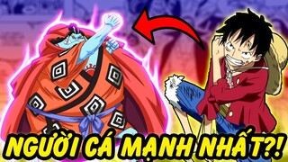 Jinbei Là Người Cá Mạnh Nhất?! | Những Người Cá Trong One Piece