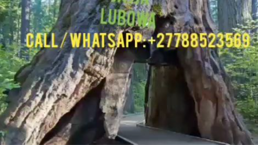 +27715451704 AustriaVancouverSSD SOLUTION NSERVATION, ACTIVATION AND RE-ACTIVATION