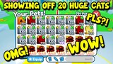 What people say when they wee 20 Huge Cats in Trading Plaza Pet Simulator X