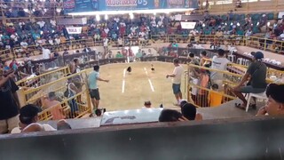 wigc sakalam