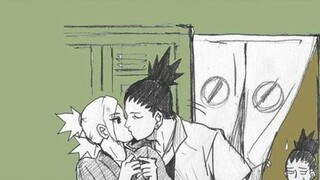 Naruto Miscellaneous: Why did the lazy master Shikamaru become serious in the later period? Who ripp