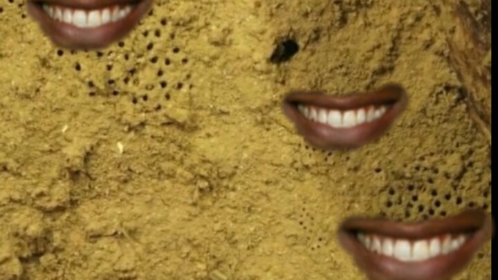 The Episode Paleontologists Dread Most