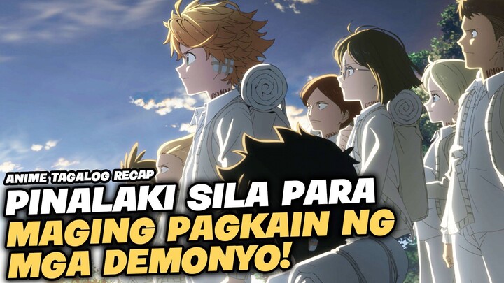 Pinalaki Ang Mga Bata Sa Ampunan Para Maging Pagkain Ng Mga Demonyo!