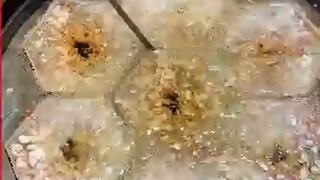 Does anyone know the name of this food?