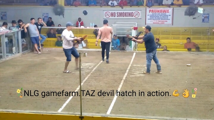 yung tipong pipila ka na sana sa claim...pero tumabla pa pala!😂