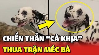 Chiến thần CÀ KHỊA thua trận bị SƯNG TAY liền chạy về MÉC BÀ NGOẠI 😂 | Yêu Lu