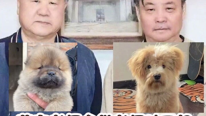 Mo Yan and Yu Hua’s dog sculptures—hahahaha, it’s not just “kind of” alike; they’re literally identi