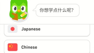 当你在多邻国学习中文...