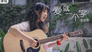 我为你翻山越岭 却无心看风景 ｜《爱就一个字》- 张信哲 - 吉他弹唱cover【岛屿吉他】