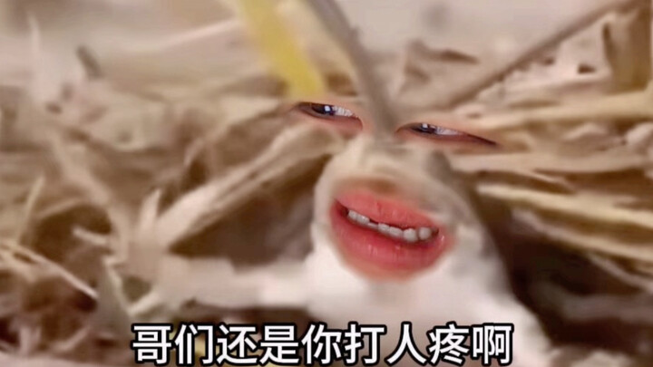 «Một ếch hai cách ăn»