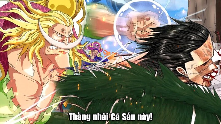 Video về Tứ Hoàng Râu Trắng & Crocodile này sẽ khiến bạn mất ngủ - One Piece