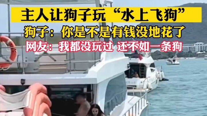 المالك يدع الكلب يلعب لعبة “الكلب الطائر على الماء”. المصدر: تأجير اليخوت الخاصة في سانيا داهاو # ال