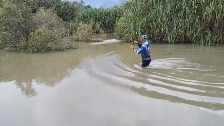 pertarungan dengan toman #castingtoman #mancing toman #mancingtomankalbar #mancinggabuskalbar