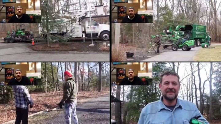this is HOW to remove a massive fallen tree Joe Bump's Reaction