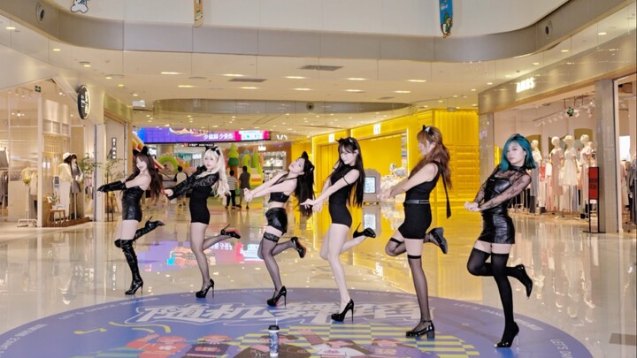 เหมือนแมว | ลูกแมวน่ารัก 6 ตัวมาถึงอู่ฮั่นแล้ว