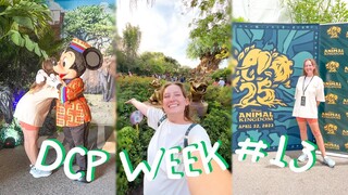 celebrating animal kingdom’s 25th birthday + animal kingdom cast party ✩ dcp spring 2023