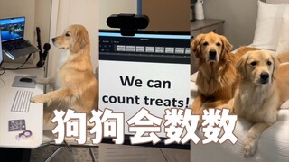 When you break your dog's treat in half...