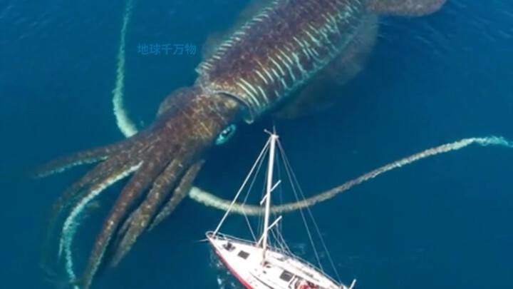 كائنات مرعبة موجودة بالفعل