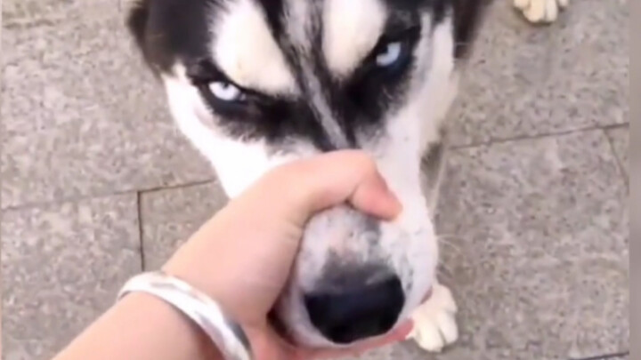 《 以 父 之 名 》