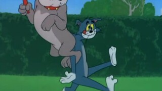 Tom berdiri tegap.